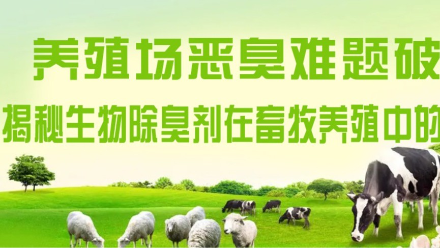 养殖场恶臭难题破解：揭秘养殖除臭剂在畜牧养殖中的利用